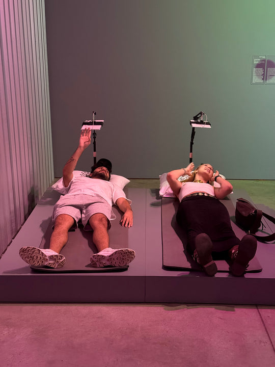 The Perfect Museum (2023-2025)